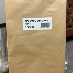 エステ　ボディカルテ100部入り