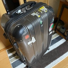グレーメタリックのかっこいいスーツケースの画像