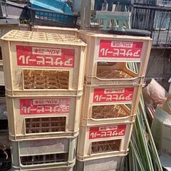 ビールケース