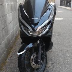 PCX125 JF81