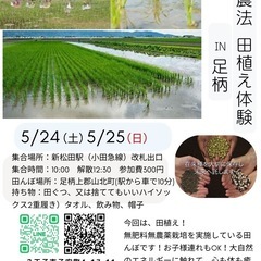 自然農法の田植え体験