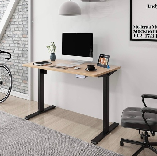 FLEXISPOT 電動式スタンディングデスク