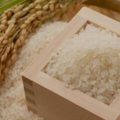 米 精米済み 5kg