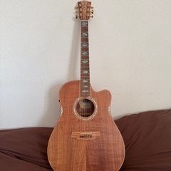 [美品] Cole Clark FL3EC-BLBL-AE/弦＆...