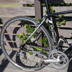 SPECIALIZED ALLEZ COMP 2012年 52サイズ 105の画像