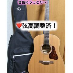 ❤️弦高調整済！「Seagull シーガル S6 Origina...