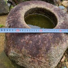 ◆ 水鉢・手水鉢
の画像