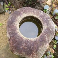 ◆ 水鉢・手水鉢
の画像