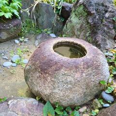 ◆ 水鉢・手水鉢
の画像