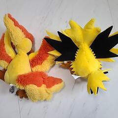 お渡し先きまりましたポケモンfitの画像