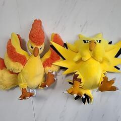 お渡し先きまりましたポケモンfitの画像