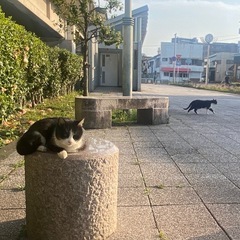 お友達探し中です！