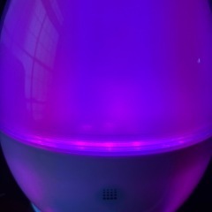 7色に光る超音波式加湿器の画像