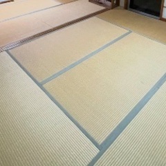 畳6畳分、4月19日土曜日までの引き取りに限り無料！