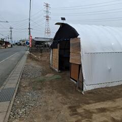 満帆めだか(無人販売場) - 伊勢崎市