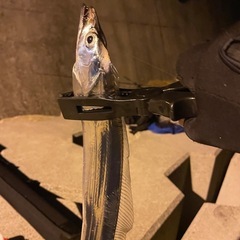 そろそろ暖かくなってきたので、一緒に釣りに行っていただける方を募集したいと思います！ - メンバー募集