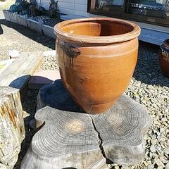 ‼️水瓶〔陶器〕‼️の画像