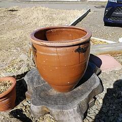 ‼️水瓶〔陶器〕‼️の画像