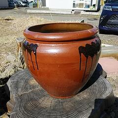 ‼️水瓶〔陶器〕‼️の画像