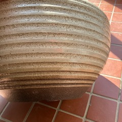 鉢の画像