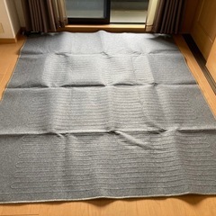 ホットカーペットの画像