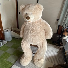 コストコのめっちゃデカいクマ