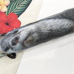 (取引中)カワウソ 折りたたみ傘 かわうそ 実写  