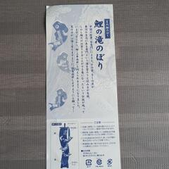 室内鯉のぼりの画像