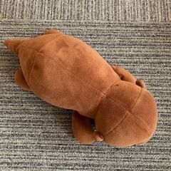 カワウソ　もちもち　ぬいぐるみ　人気の画像