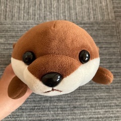 カワウソ　もちもち　ぬいぐるみ　人気