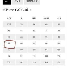 断捨離:新品　ARC'TERYX アークテリクス アルファ SV ジャケットの画像