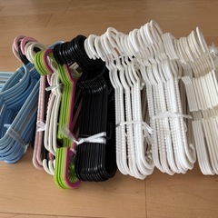 プラハンガー77本の画像