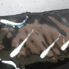 ❮取引決定❯めだかマリアージュKWF  6匹3ペアの画像