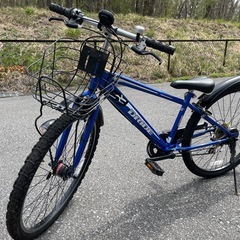 子供用自転車　ドライドS3 266HD-L