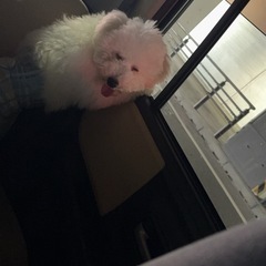 お問い合わせ多くなってきてるのでお問い合わせ中止させていただきます