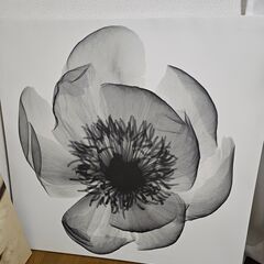 [取引中]花のアートパネル 4点セット