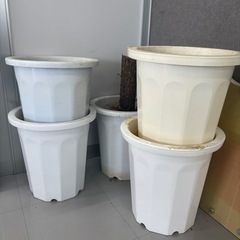 【お取引決定】プラスチック植木鉢の画像