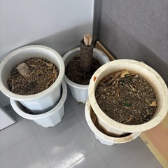 【お取引決定】プラスチック植木鉢