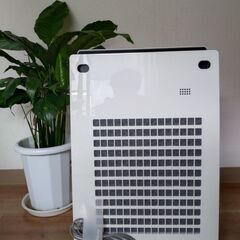 【美品/ほぼ未使用】SHARP加湿空気清浄機プラズマクラスターの画像