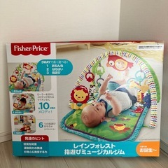 フィッシャープライス(fisher price) レインフォレスト指遊びミュージカルジムの画像