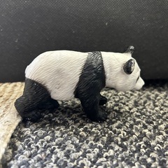 可愛いパンダ🐼の画像