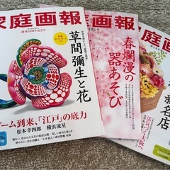 家庭画報