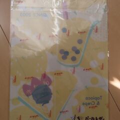パールレディ クリアファイル（未開封）の画像