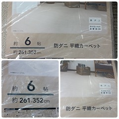 [八5240] 【未使用品】カインズ   約6帖　防ダニ平織カーペット   寸法約261X352㎝   カラー　アイボリーの画像