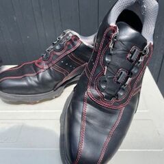 FOOT JOY メンズ ゴルフシューズ　ケース付き