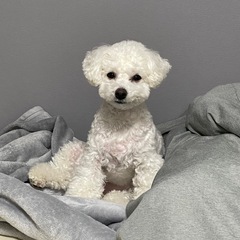 犬友達 募集中♡ − 神奈川県
