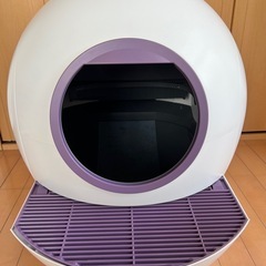 猫　自動トイレ