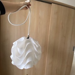 間接照明
