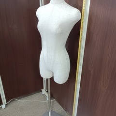 [八5236]  　トルソー　サイズ:B約77㎝  W約57㎝  H約80㎝の画像