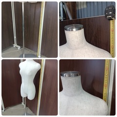 [八5236]  　トルソー　サイズ:B約77㎝  W約57㎝  H約80㎝の画像